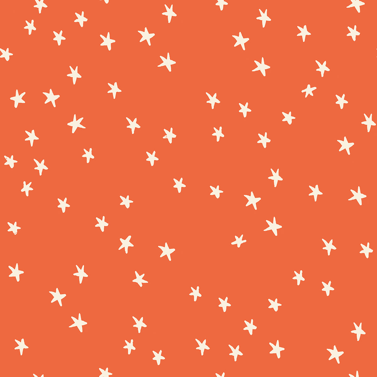 Nutmeg - Starry